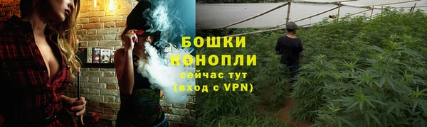 наркотики Белокуриха